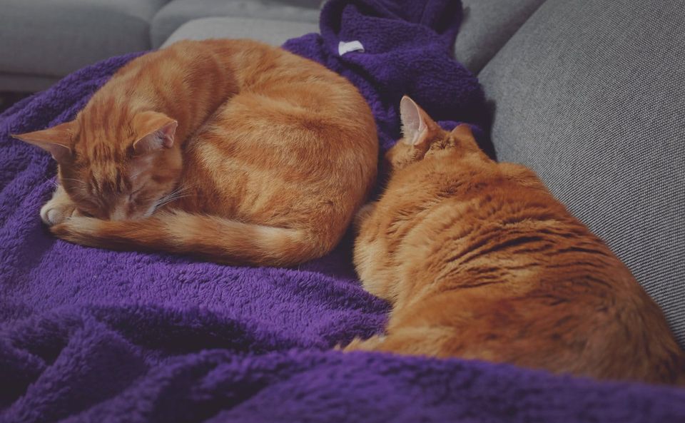 Picture a Day: Mar 22