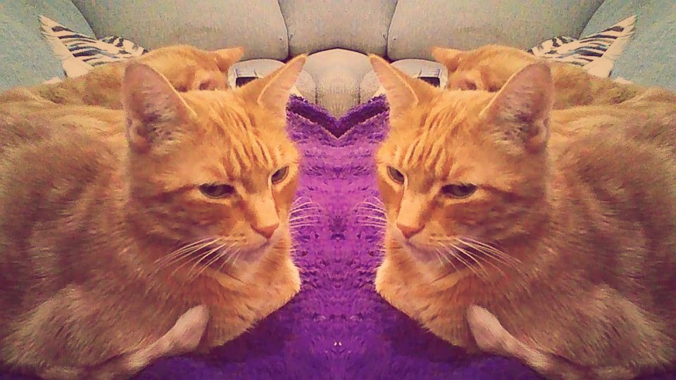 Picture a Day: Feb 24