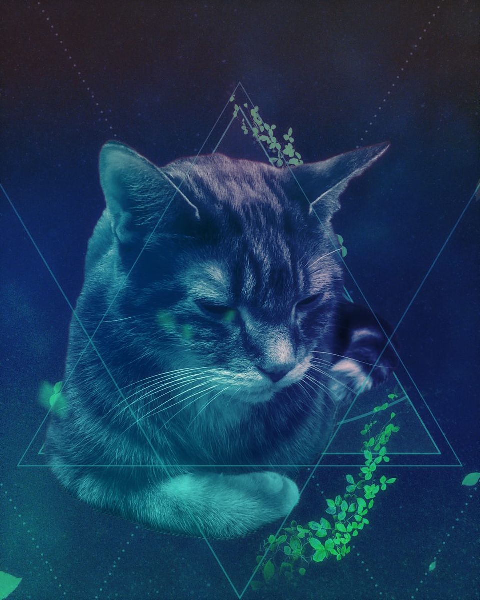 Picture a Day: May 25