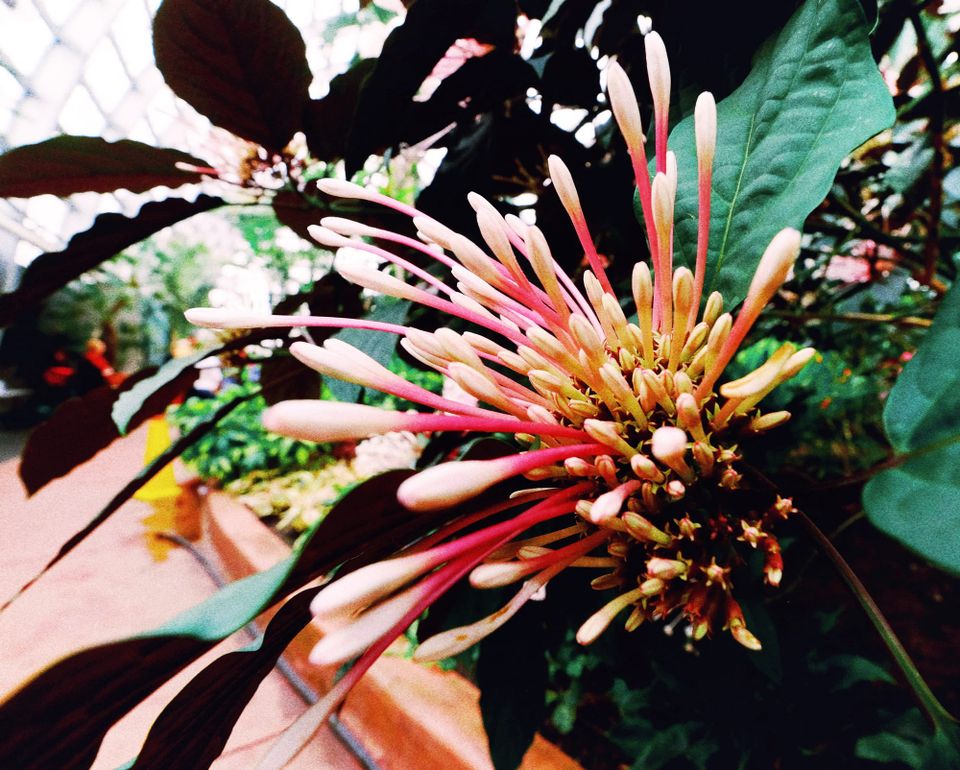 Picture a Day: Jun 18