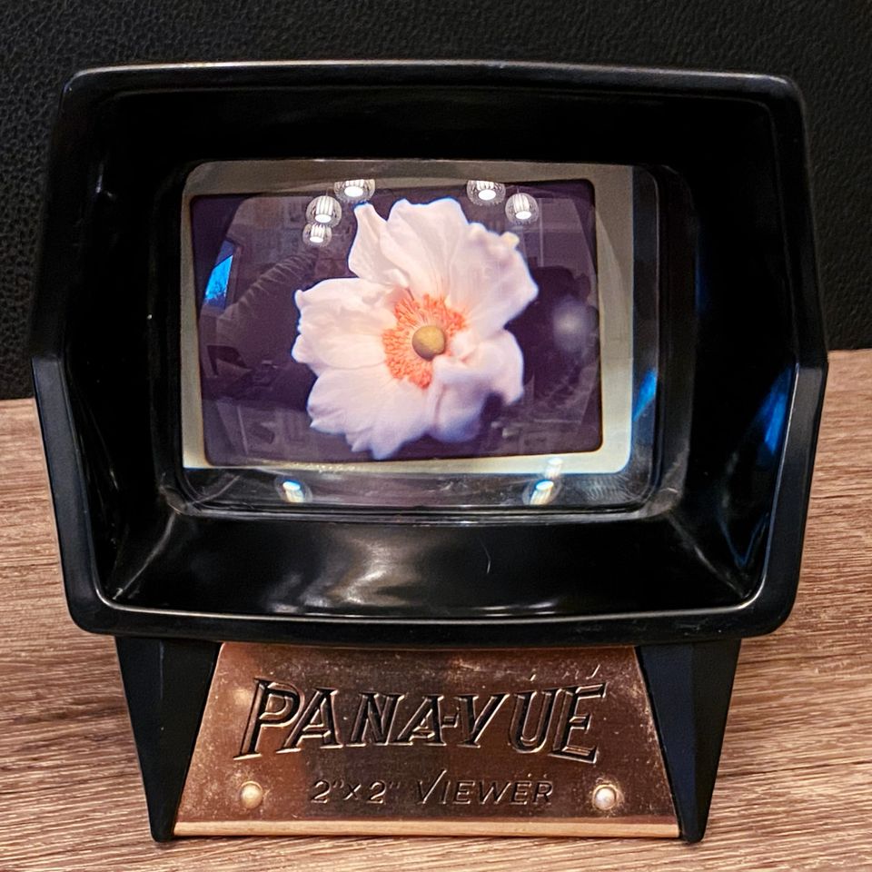 Picture a Day: Jul 16