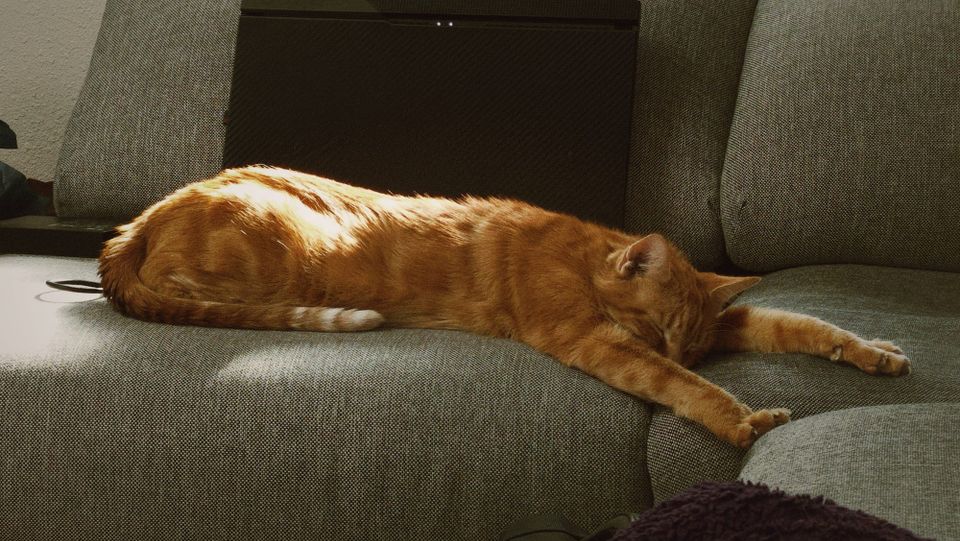 Picture a Day: Nov 10