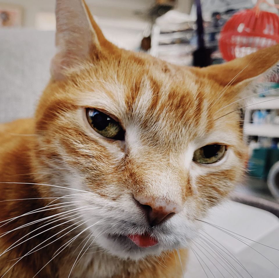 Picture a Day: Nov 11