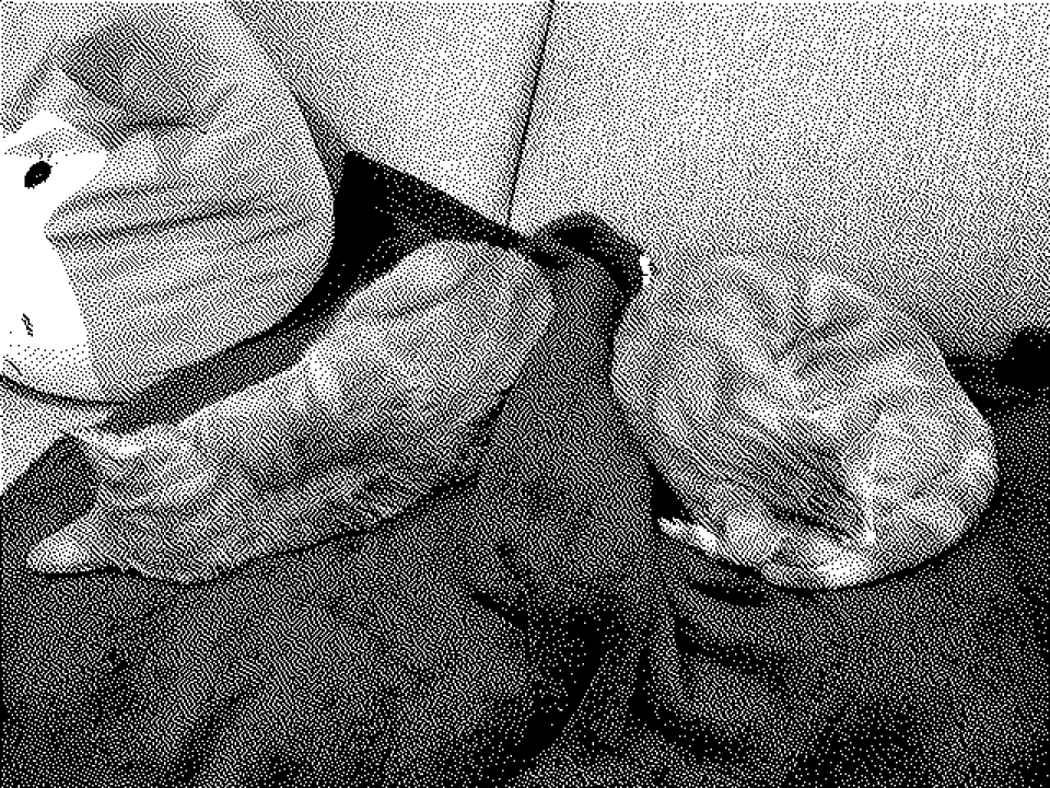 Picture a Day: Nov 23