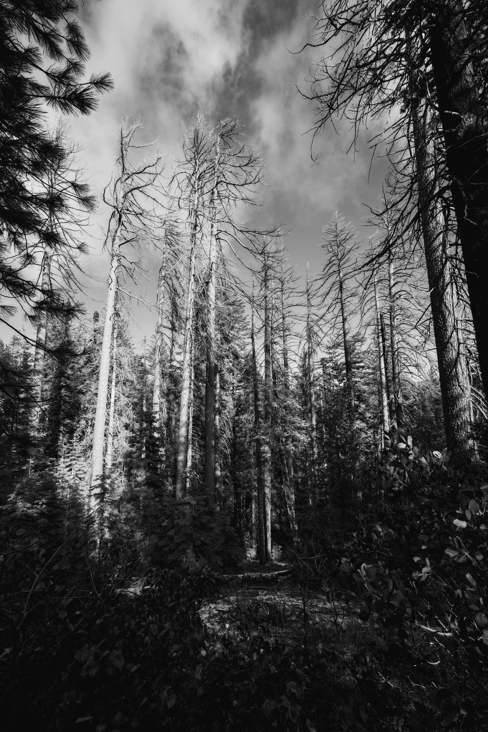 Picture a Day: Dec 13