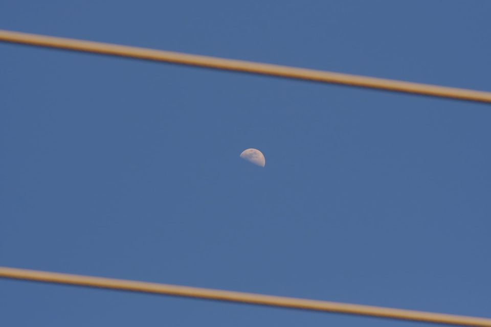 picture a day: mar 6