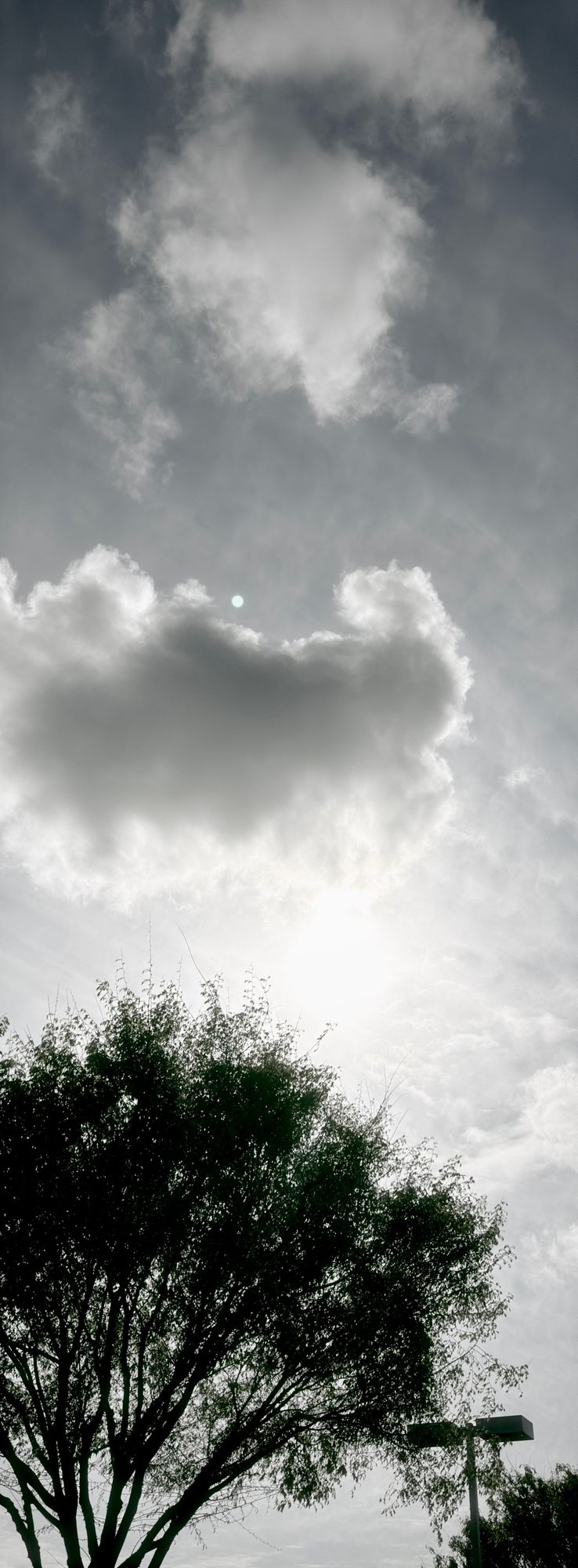 picture a day: mar 29