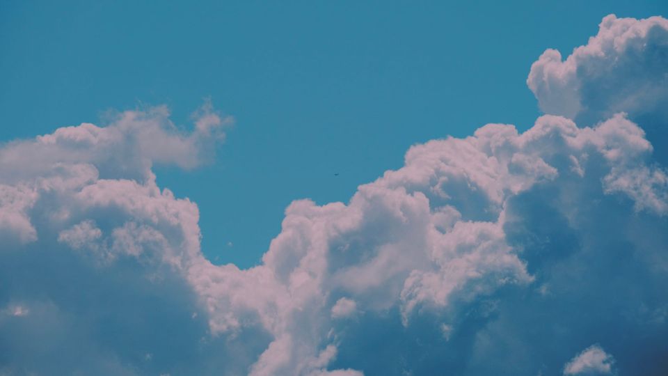 picture a day: apr 4