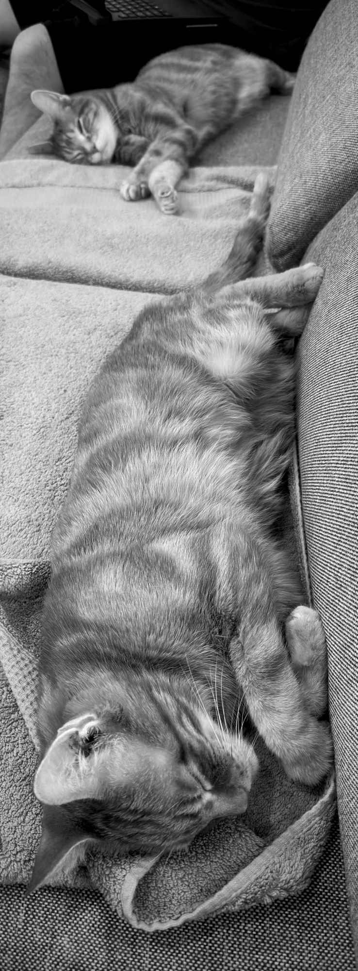 picture a day: apr 5