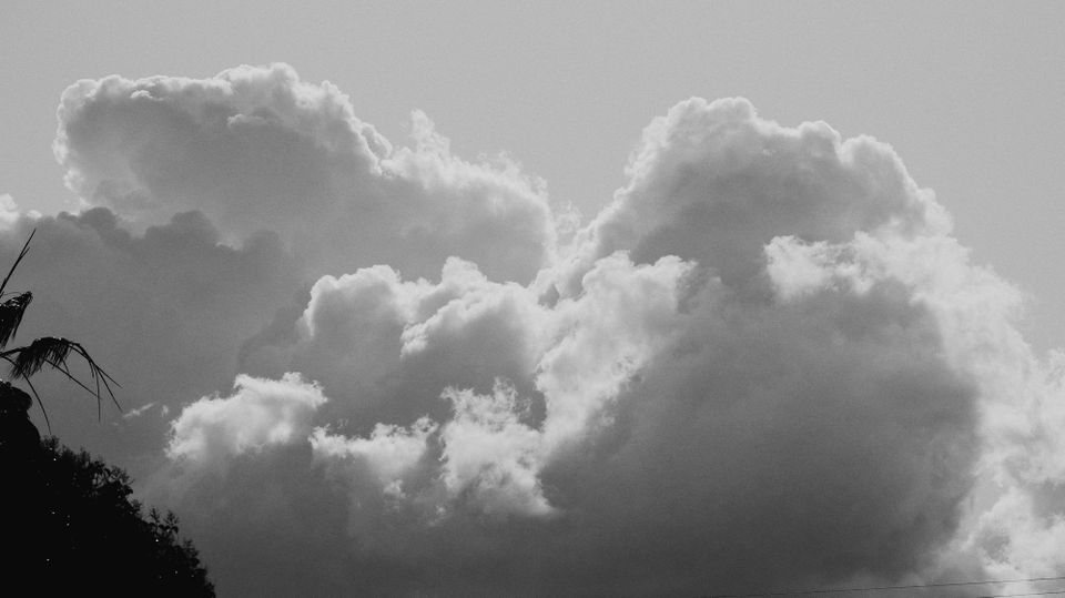 picture a day: apr 6