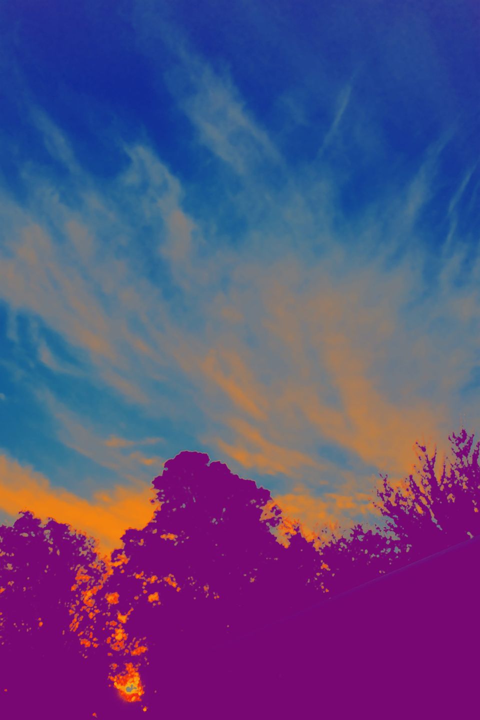 picture a day: apr 11