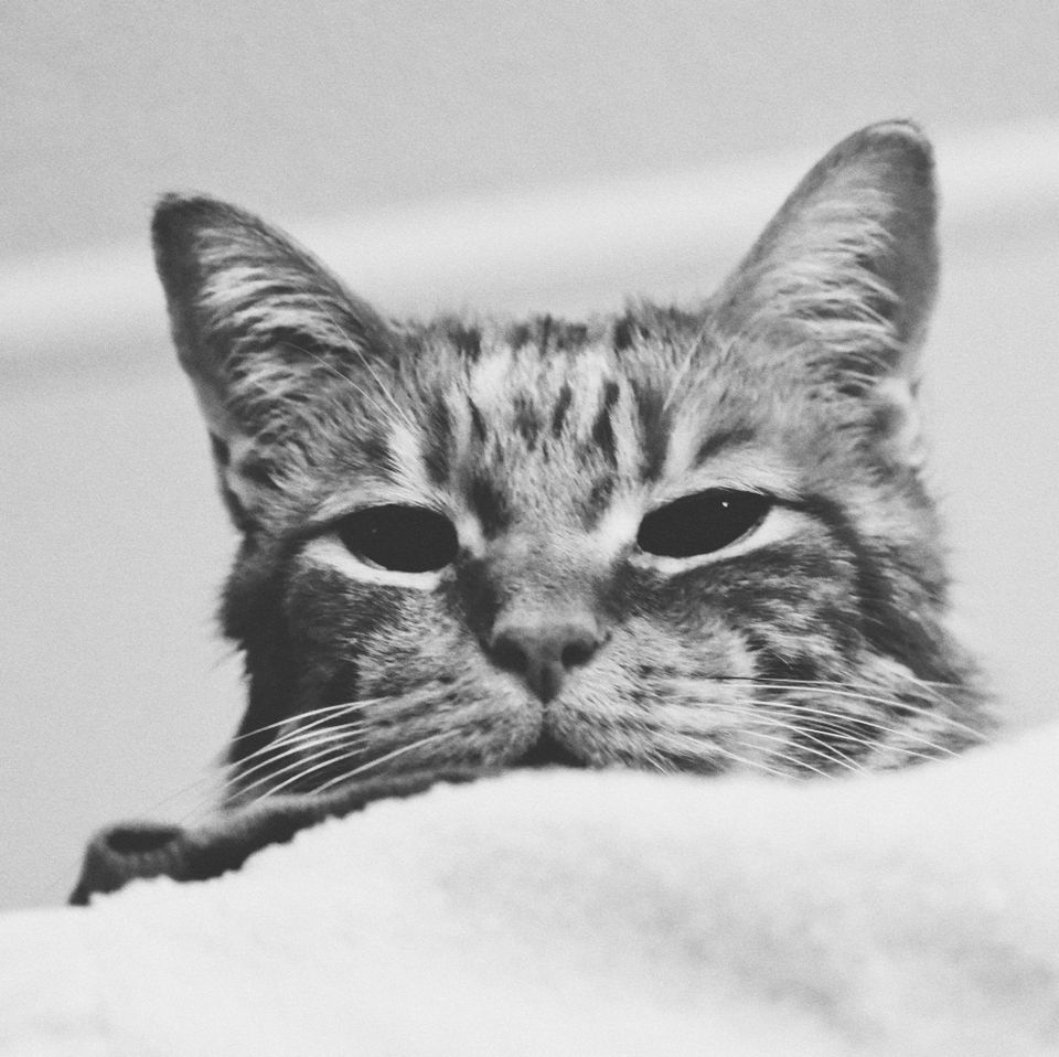 picture a day: apr 15