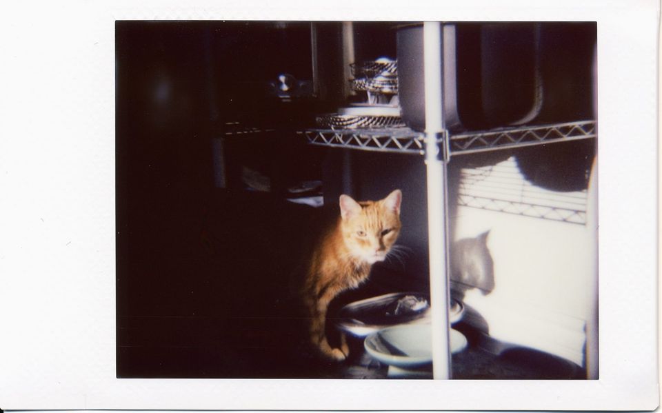 picture a day: apr 16