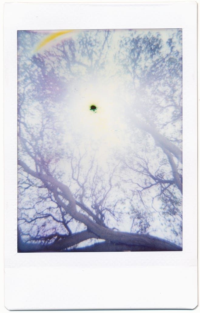 picture a day: apr 21