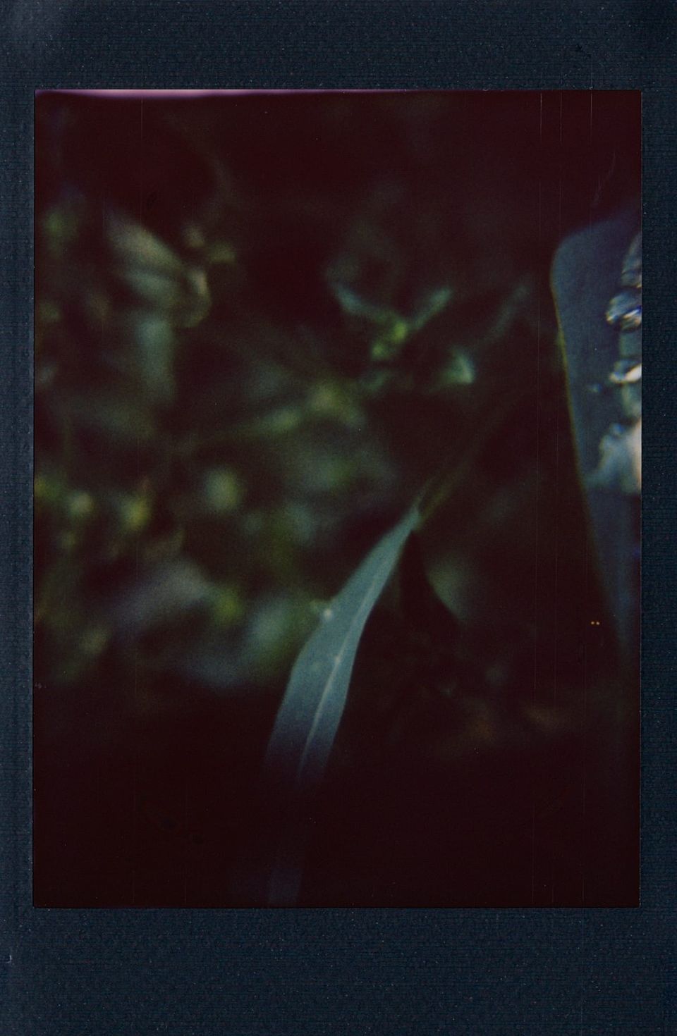 picture a day: apr 26