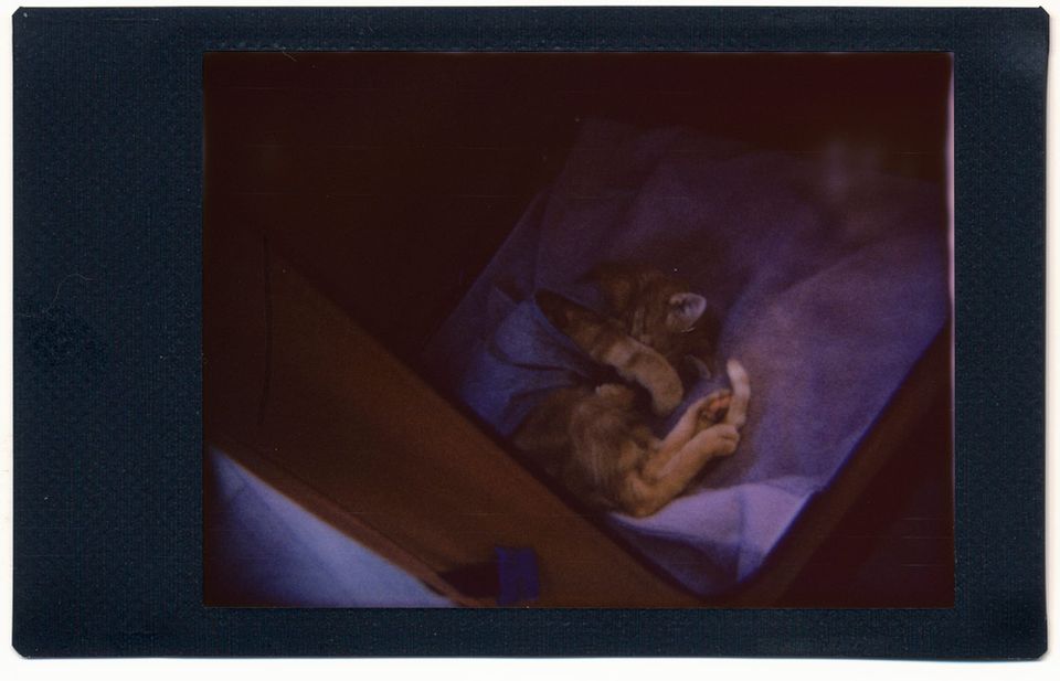 picture a day: apr 27