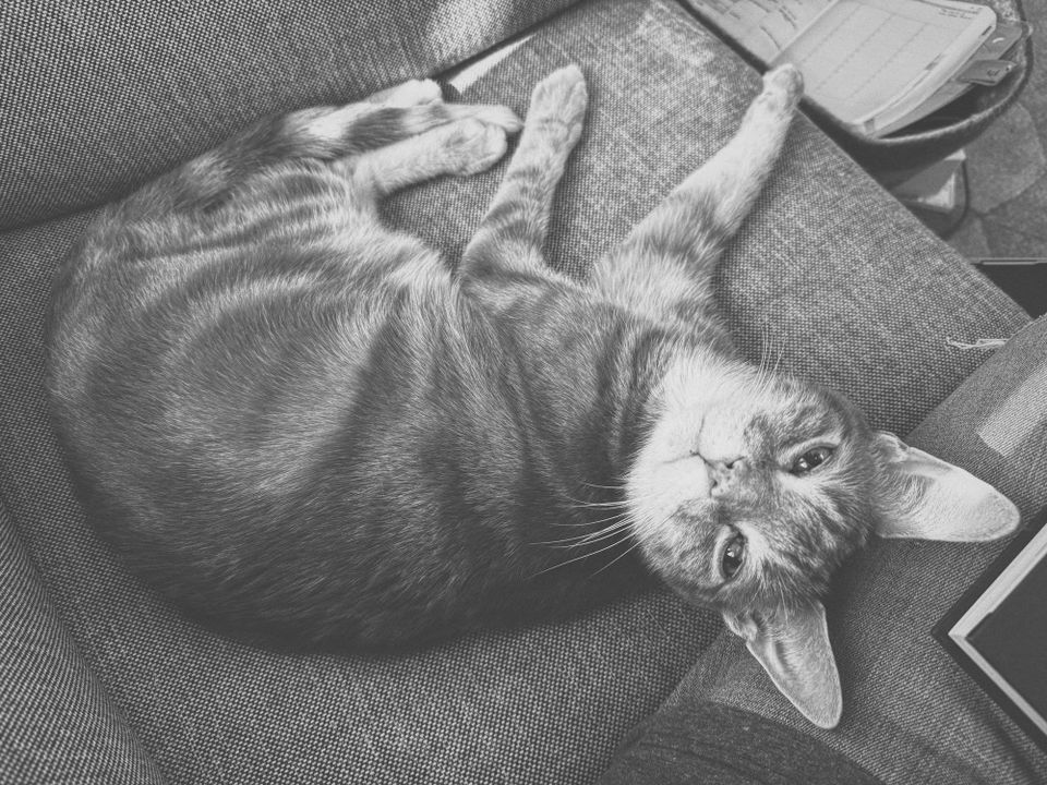 picture a day: apr 30