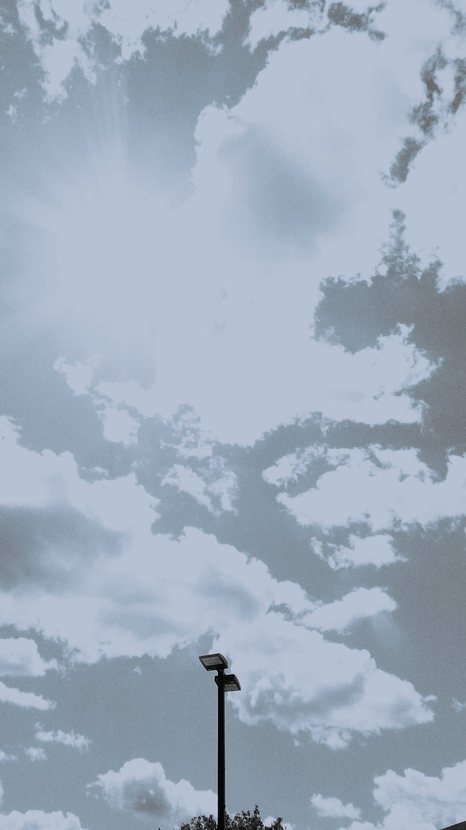 picture a day: may 13