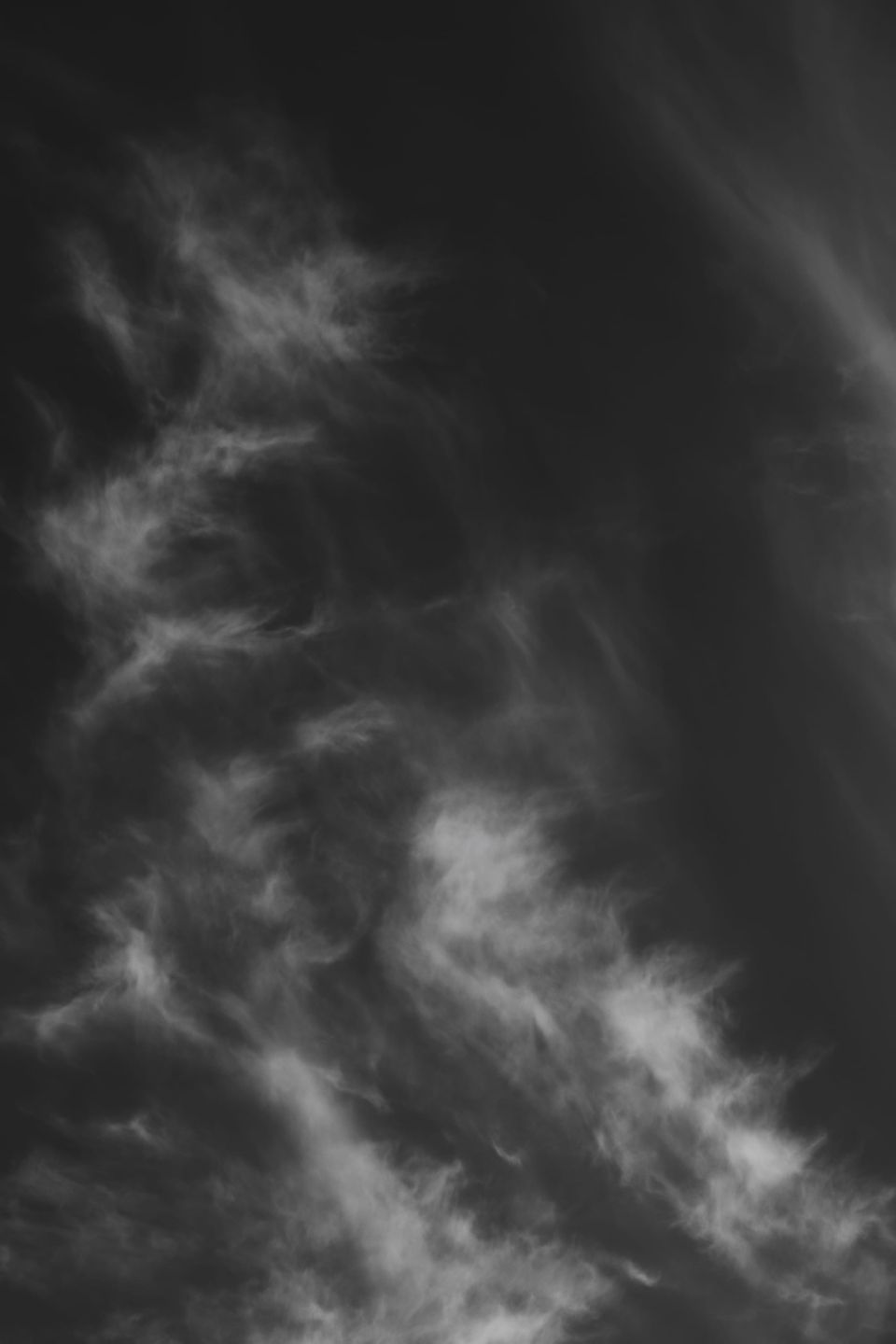 picture a day: may 14