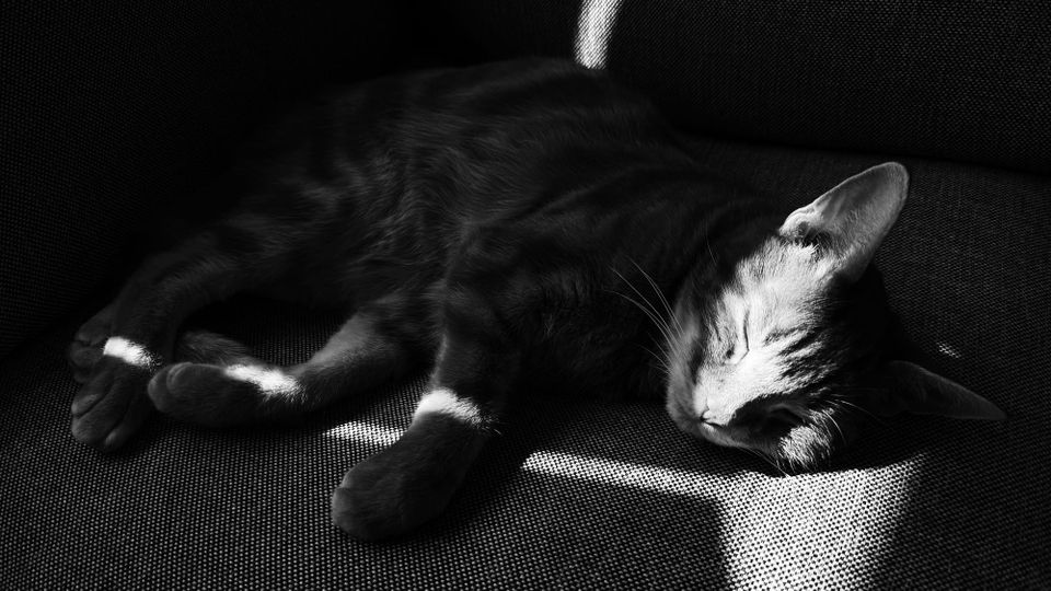 picture a day: may 16