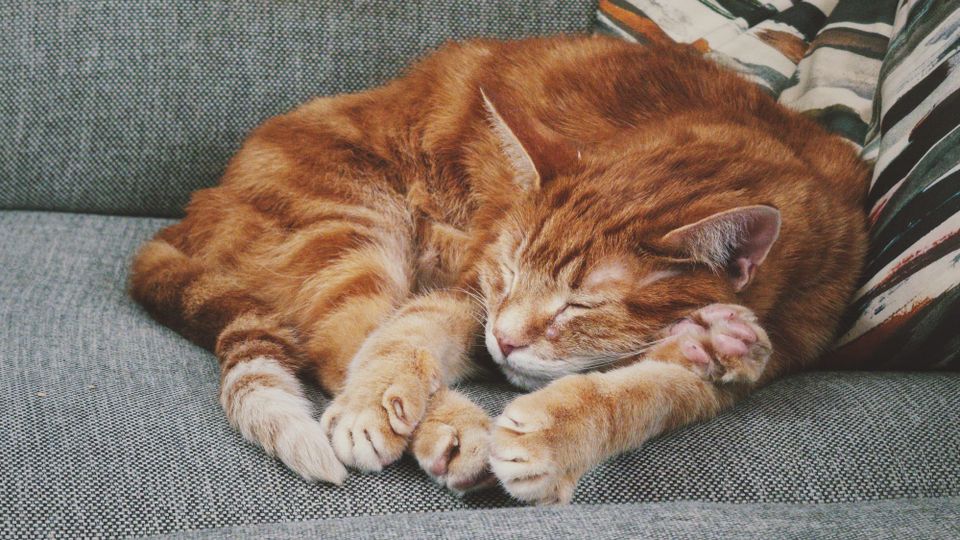 picture a day: may 23