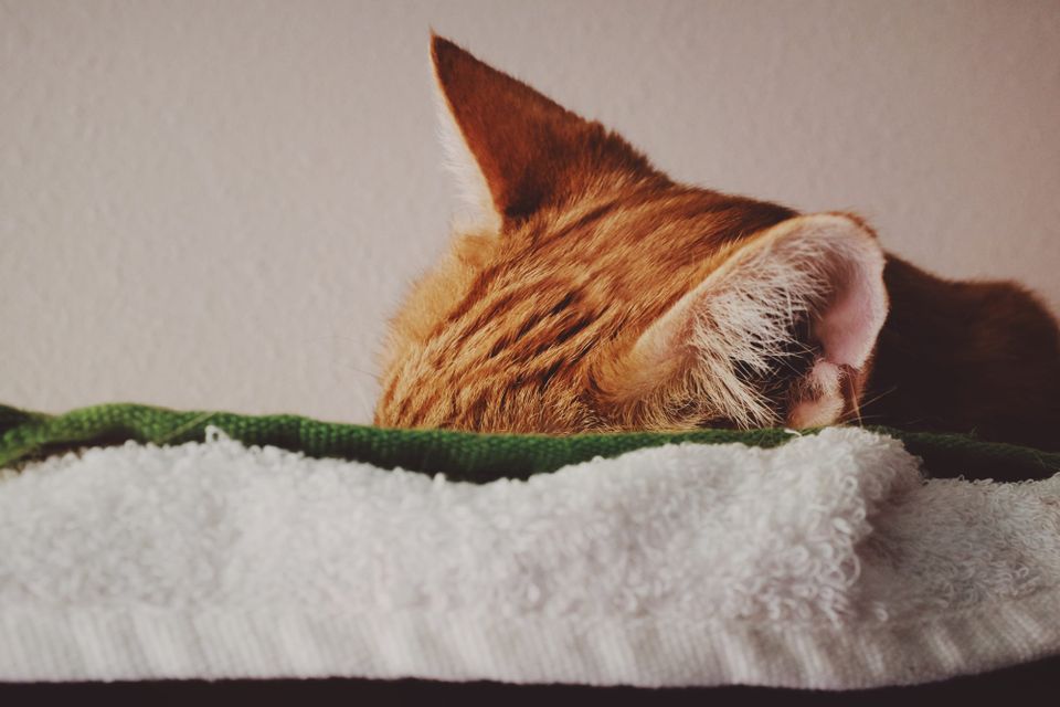 picture a day: may 24