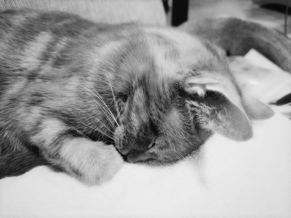 picture a day: may 29