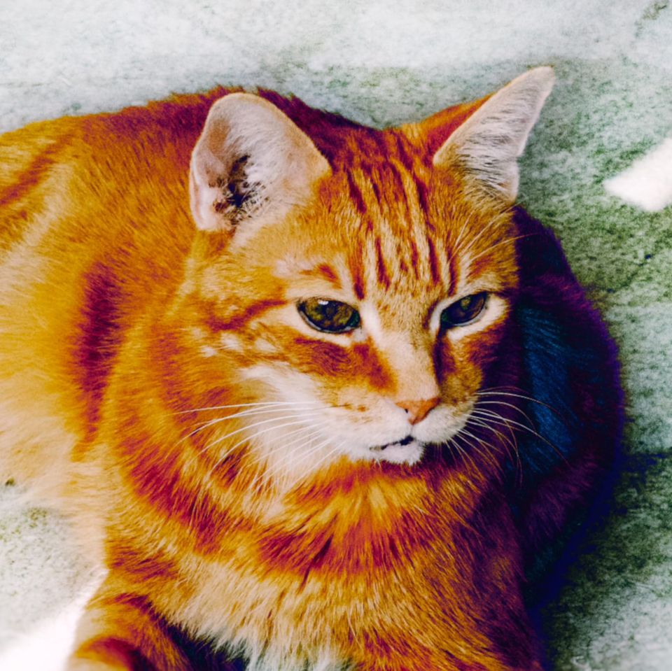 picture a day: jun 10