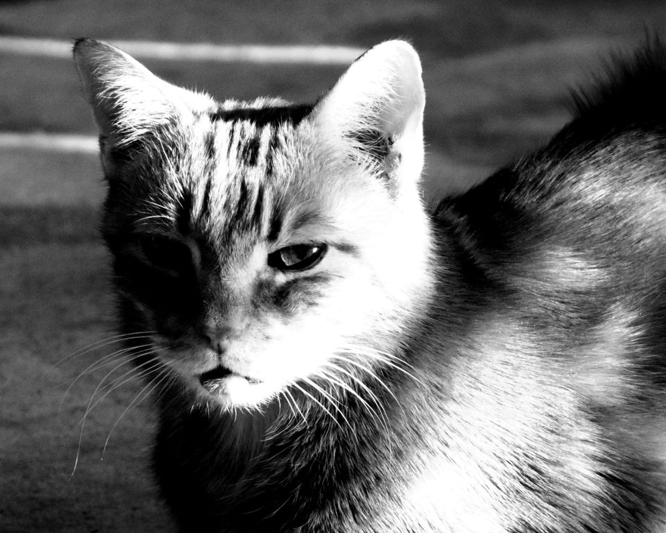 picture a day: jun 23