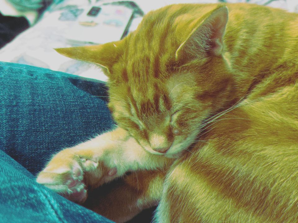 picture a day: jun 25