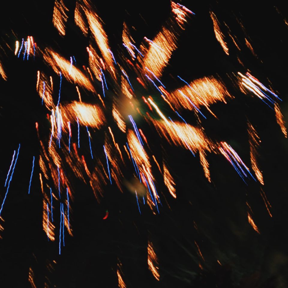 picture(s) a day: jul 4