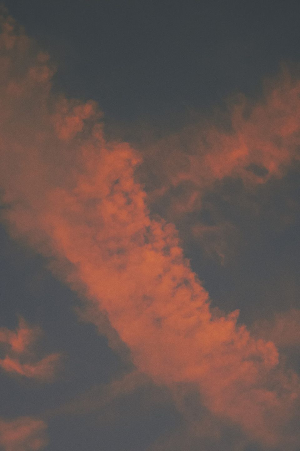 picture a day: jul 21