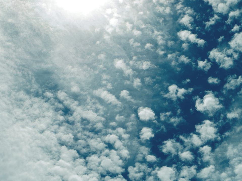 picture a day: jul 22