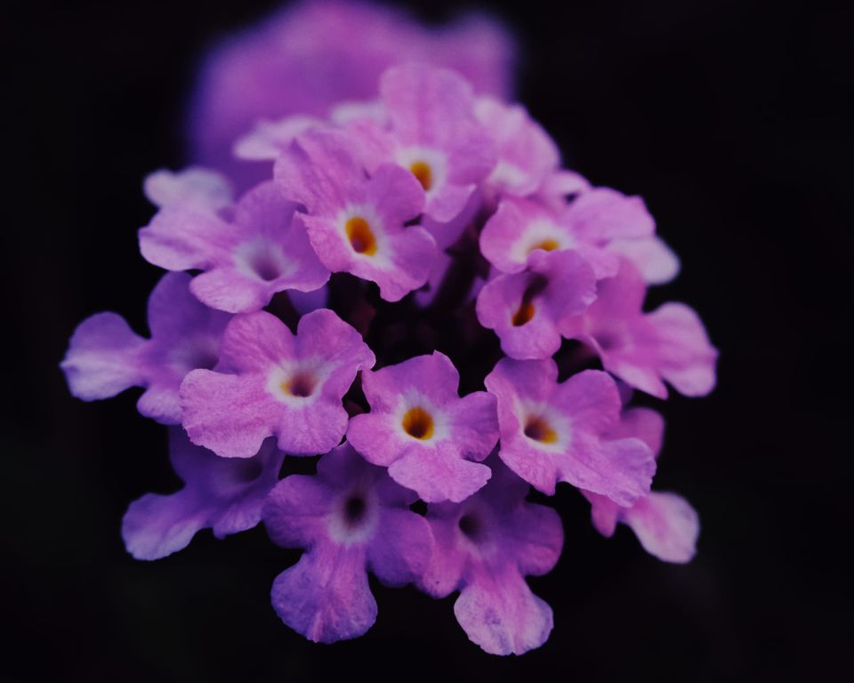 picture a day: jul 23