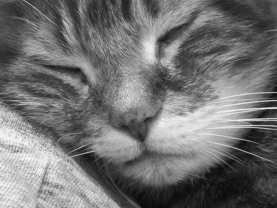 picture a day: jul 6