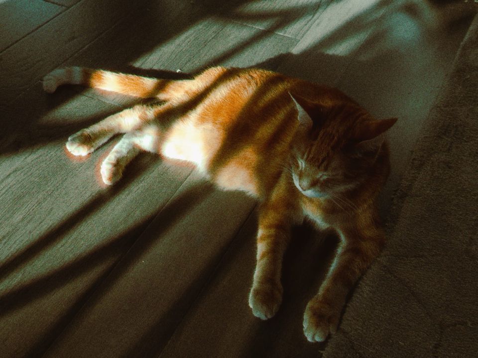 picture a day: aug 1