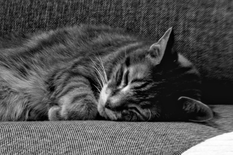 picture a day: aug 4