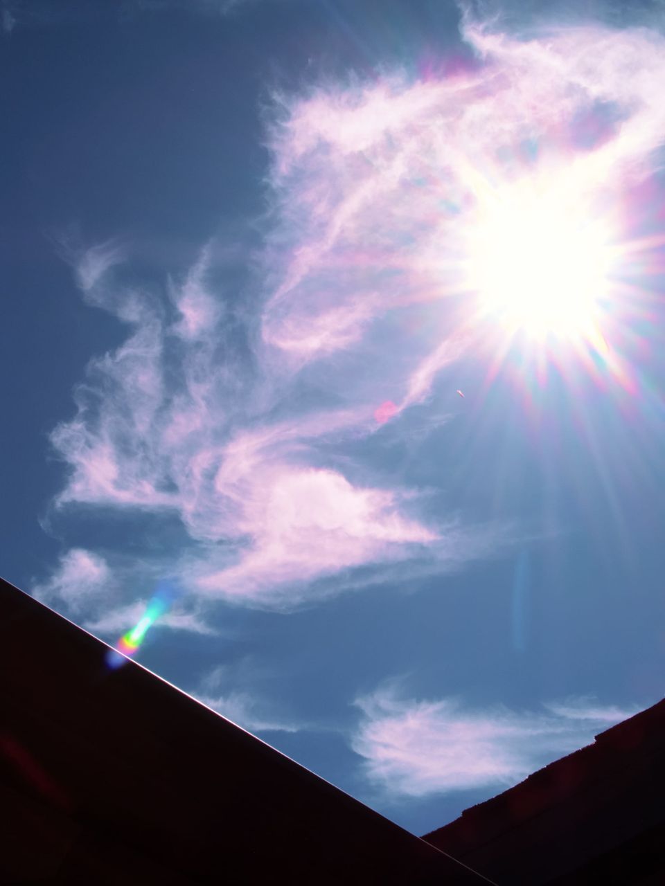 picture a day: aug 6