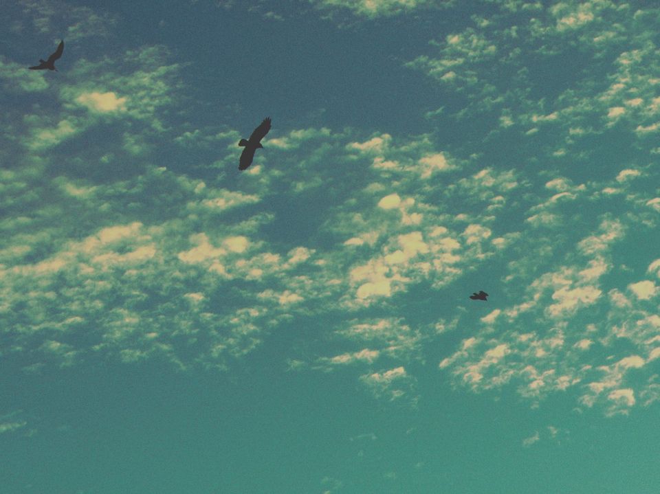 picture a day: sep 23