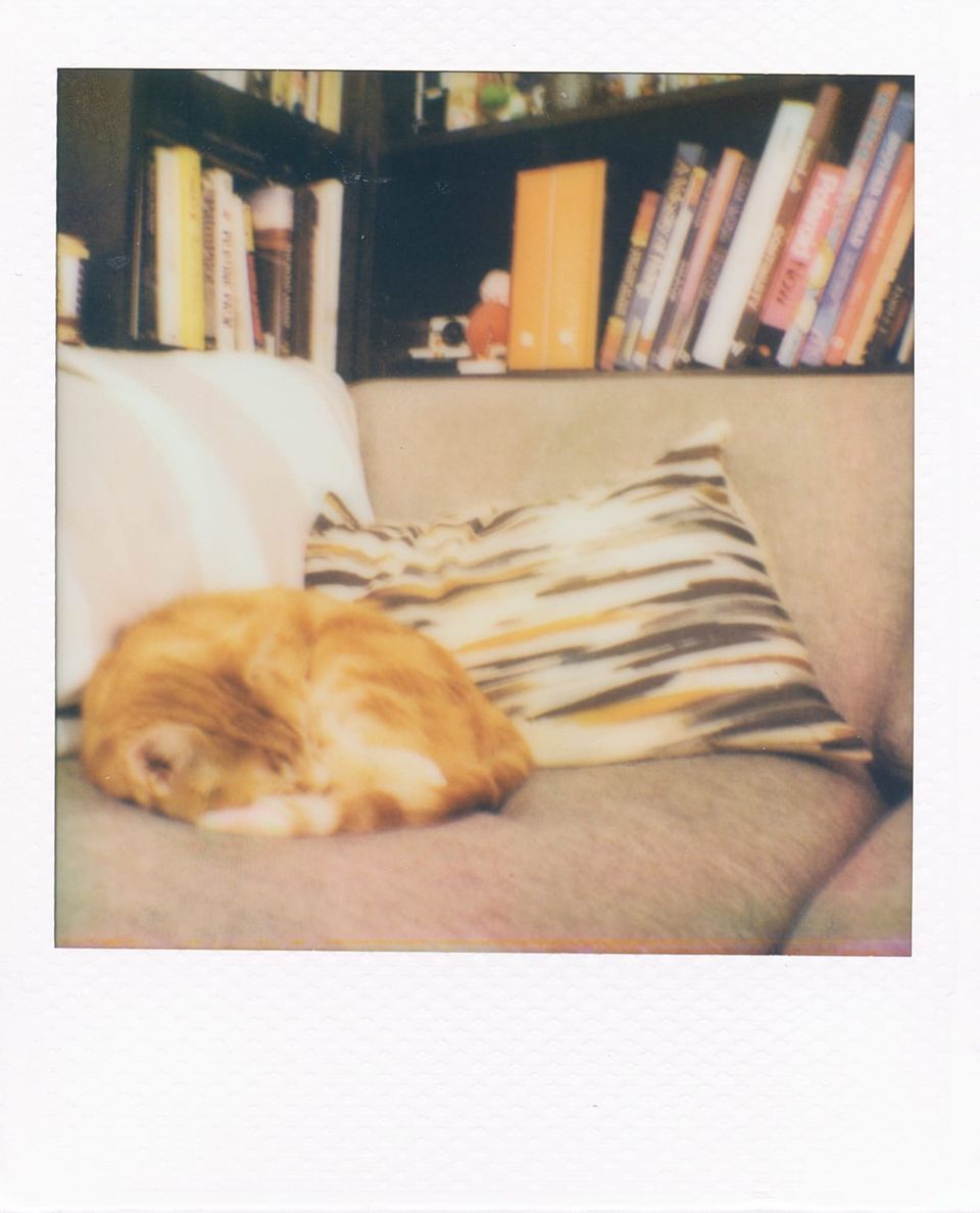 picture(s) a day: oct 23