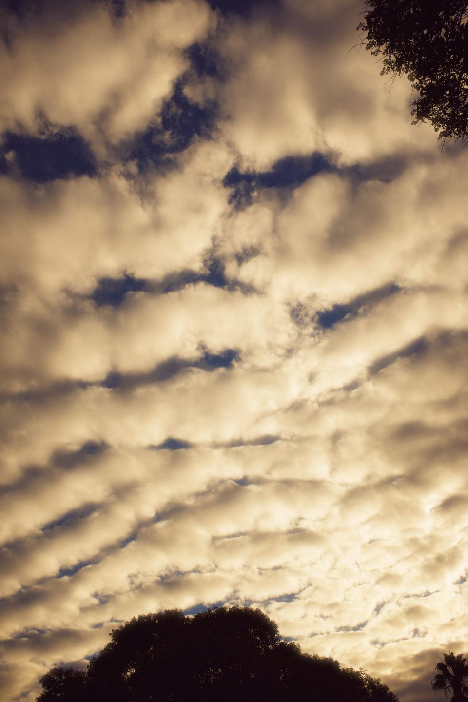 picture a day: sep 30