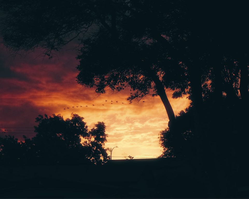 picture a day: oct 14