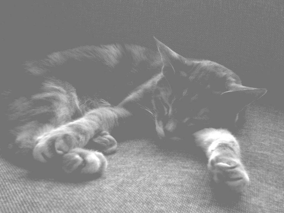 picture a day: oct 18