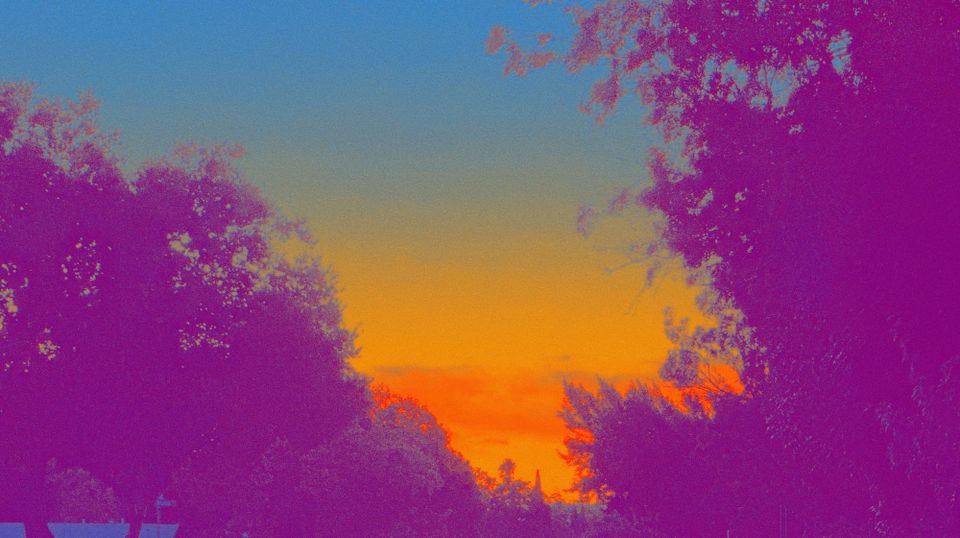 picture a day: oct 9