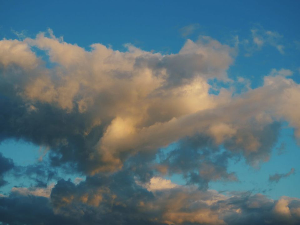 picture a day: nov 16