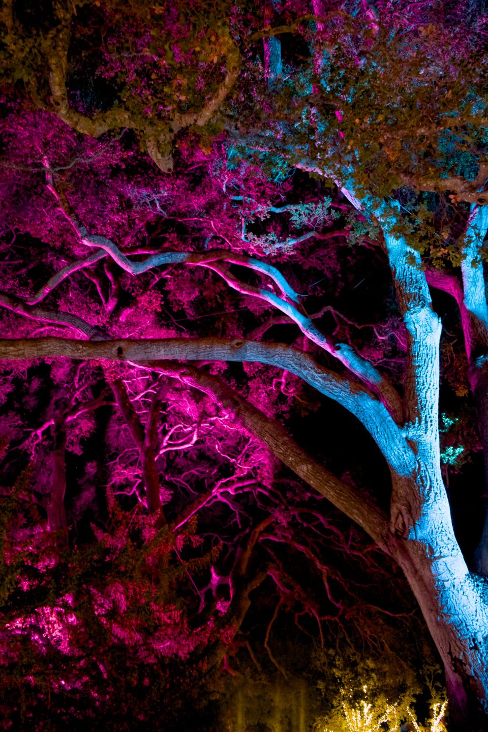 picture a day: nov 30