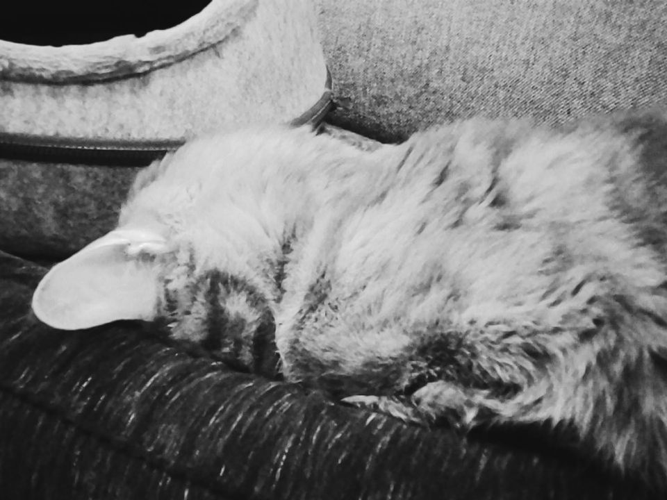 picture a day: dec 13