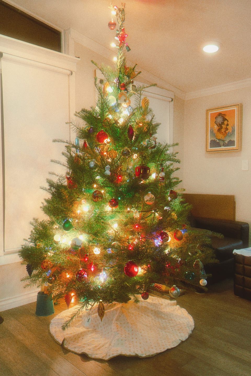 picture a day: dec 7