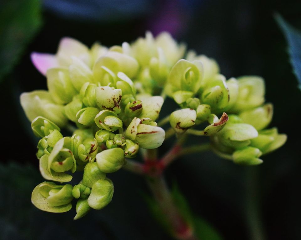 picture of the day: may 27
