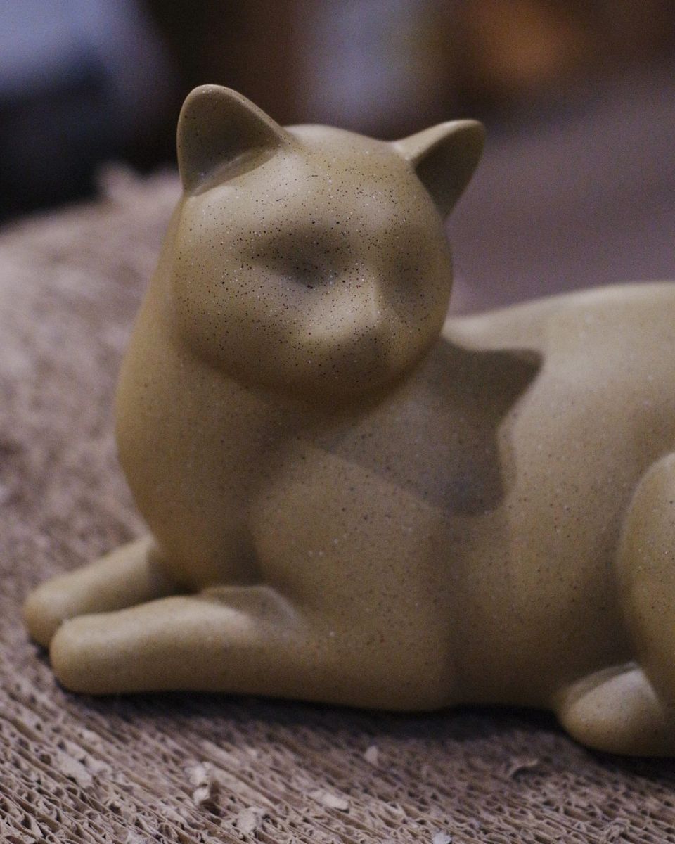 Remembering Pixel, One Year Later